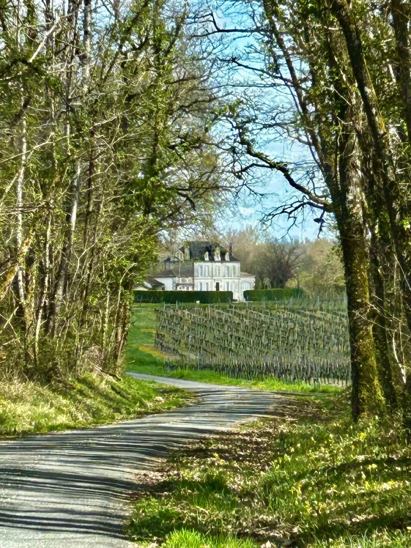 A moment from a Mindful Coherence retreat at Chez Vallée